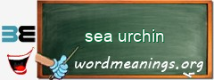 WordMeaning blackboard for sea urchin